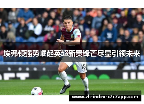 埃弗顿强势崛起英超新贵锋芒尽显引领未来